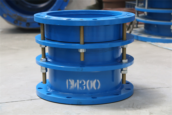 正能量奖励网站入口器型號BM300什麽意思